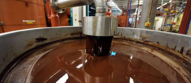 Salmonella found in world's biggest chocolate plant